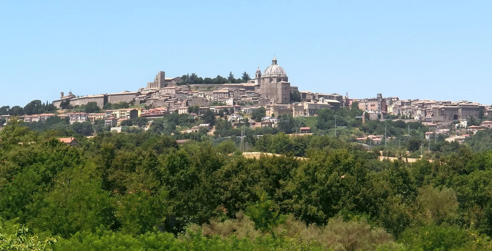 Panorama di Montefiascone sul suo colle, con la cupola della cattedrale e la rocca sopra una distesa di alberi verdi